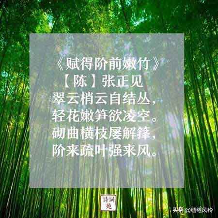 不要人夸顏色好的下一句是