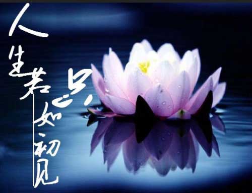 你我若只如初見下一句