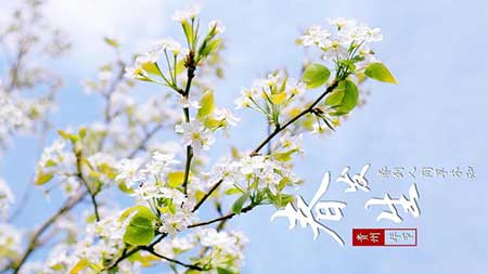 南浦春來綠一川下一句是什么