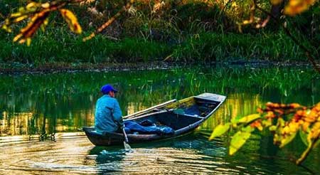 南浦春來綠一川下一句是什么