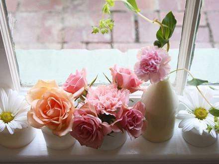 棄之可惜下一句