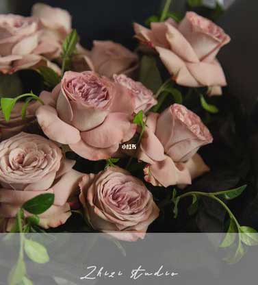 晚風(fēng)將玫瑰壓碎下一句