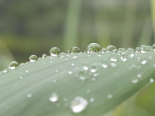雨打芭蕉下一句