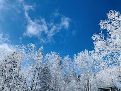 透心涼心飛揚(yáng)下一句
