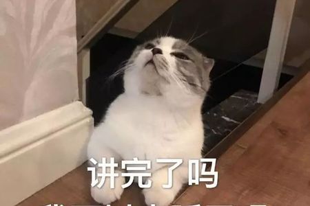 你算哪塊小餅干下一句