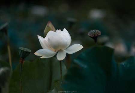 人心難測下一句