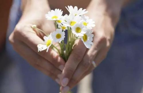 女人如花下一句