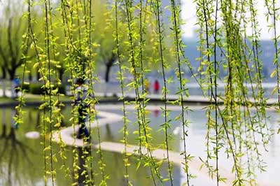 微風過處下一句