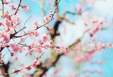 一如既往下一句是什么(意思及上下句)