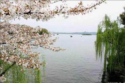 又逢梨花帶雨露下一句