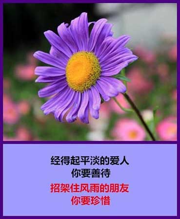 如果沒有如果下一句