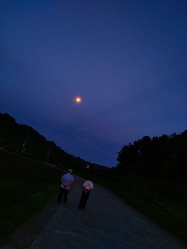 今夜月色真美下一句