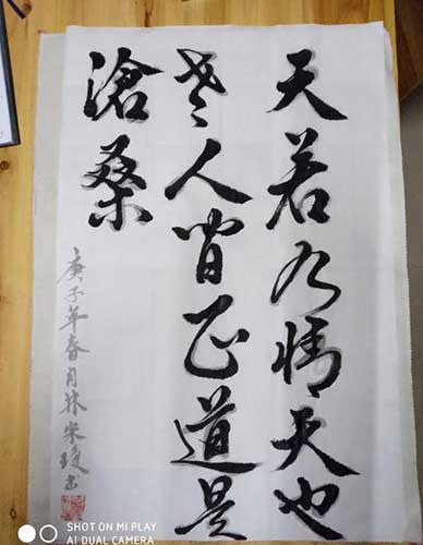 人間正道是滄桑下一句是什么