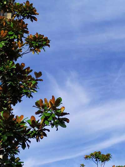 雨過天晴下一句