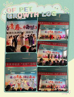 舞動(dòng)青春下一句