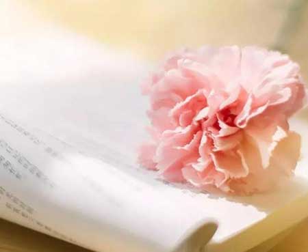 有你真好的下一句