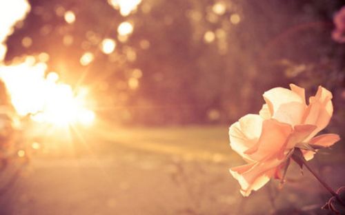 靜看繁華下一句是什么