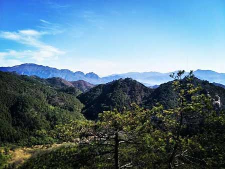 青山不老的下一句