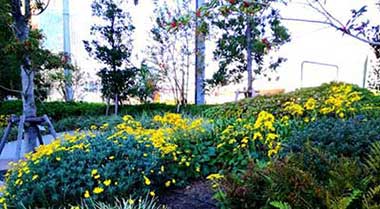 沾花惹草下一句