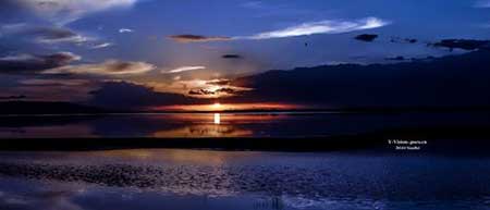 看最美的風景下一句