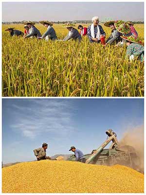 秋收冬藏下一句