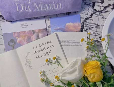 一歲一寸歡喜下一句