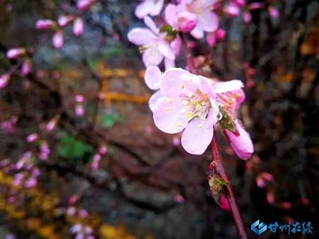 一場春雨一場暖下一句