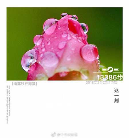 春雨貴如油下一句