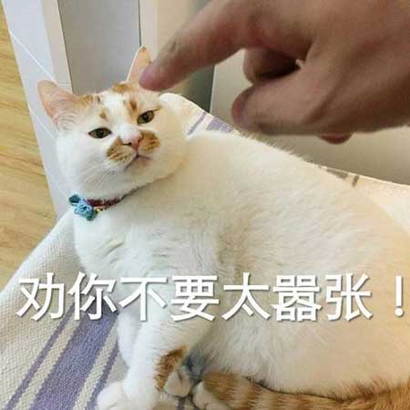不要問我為什么下一句