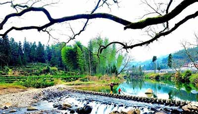 寒木春華下一句