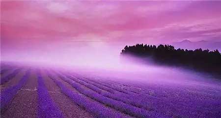 守一方凈土下一句