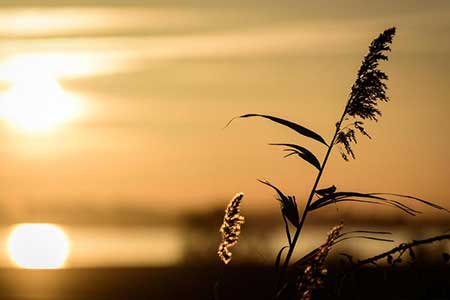 遠山冷冰冰下一句