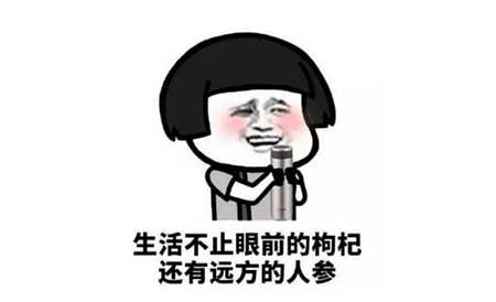 這個世界太瘋狂下一句