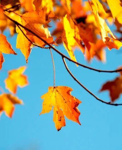 此地一為別的下一句