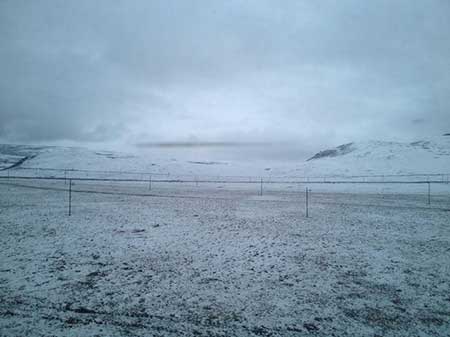 蒼茫的天涯是我的愛下一句