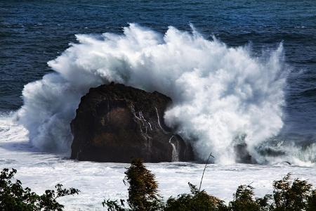 蚍蜉撼樹下一句