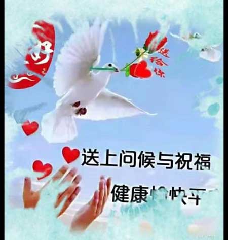 歲寒知松柏的下一句是什么