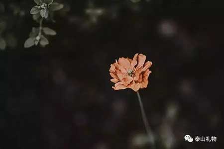 久未謀面下一句