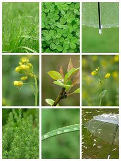 春雨潤物細無聲下一句