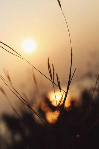 時光飛逝下一句