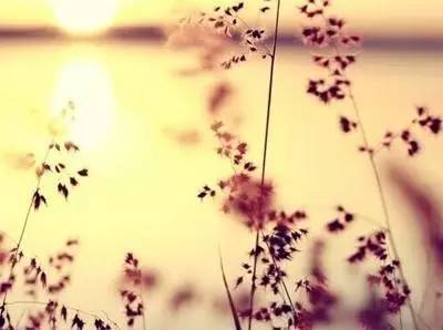 人生沒有彩排下一句