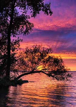 日出江花紅勝火的下一句詩是什么