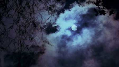 風(fēng)高月黑下一句是什么