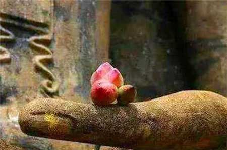 圈子不同別硬融下一句