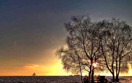 不敢高聲語(yǔ)下一句