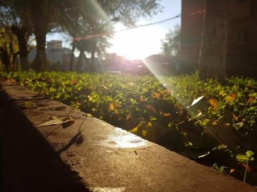 時光如白駒過隙下一句