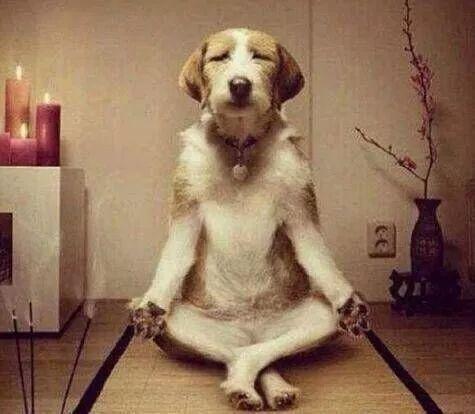 恨鐵不成鋼下一句