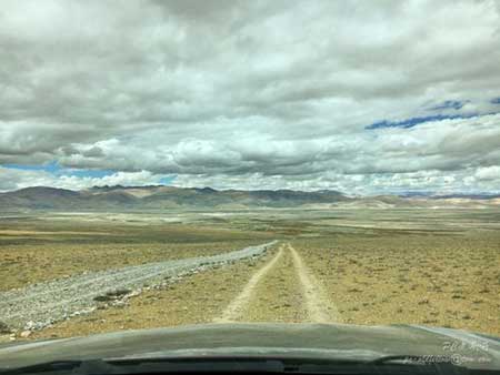 并肩同行下一句