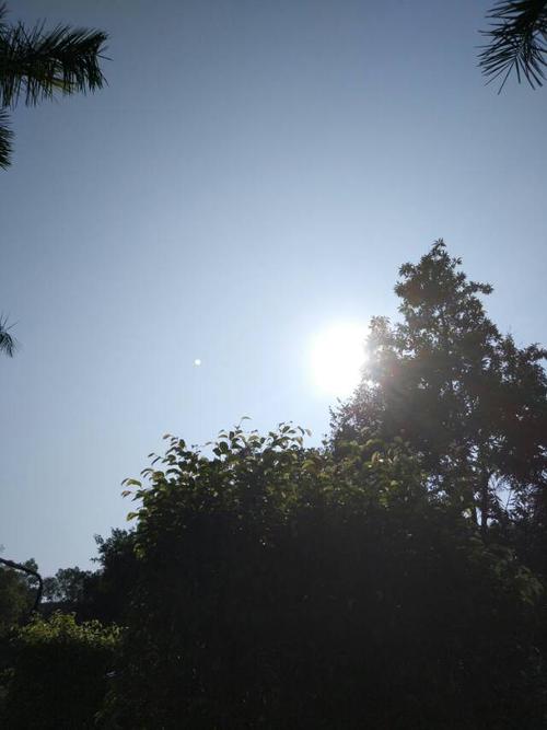 我生待明日下一句