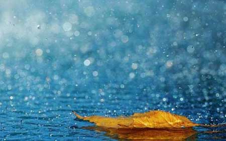 卷地風(fēng)來忽吹散的下一句